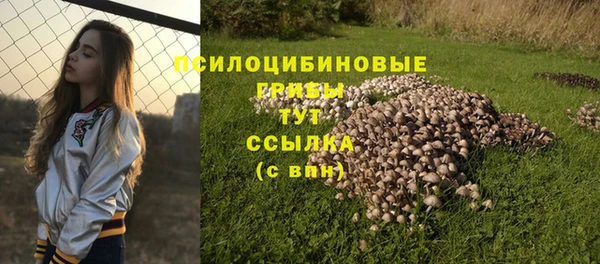 сатива Майский