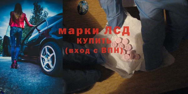 мяу мяу мука Магас