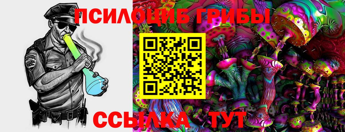 Галлюциногенные грибы Cubensis Топки