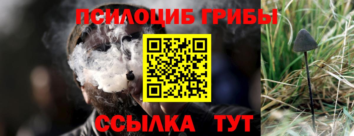 Галлюциногенные грибы Psilocybe Топки