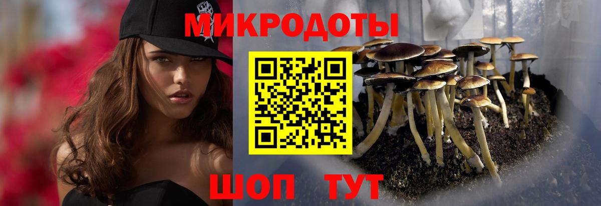 Топки  Галлюциногенные грибы Psilocybine cubensis  Вход с VPN 