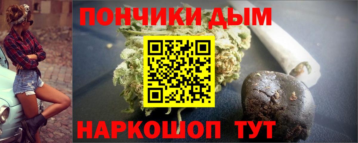 Шишки марихуана план  Канабис Bruce Banner  Вход с VPN  Топки  Шишки марихуана OG Kush 